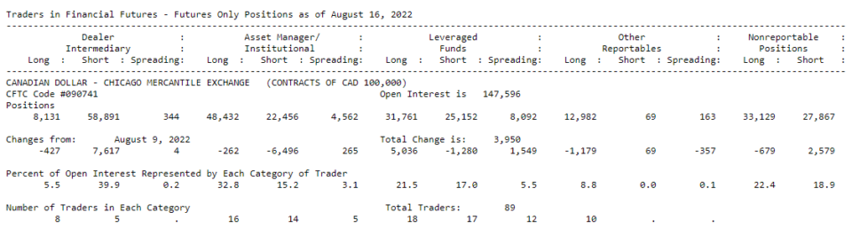 Example of the CoT report